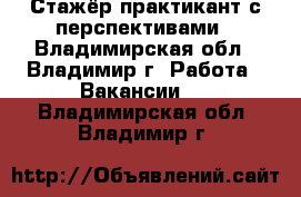 Стажёр-практикант с перспективами - Владимирская обл., Владимир г. Работа » Вакансии   . Владимирская обл.,Владимир г.
